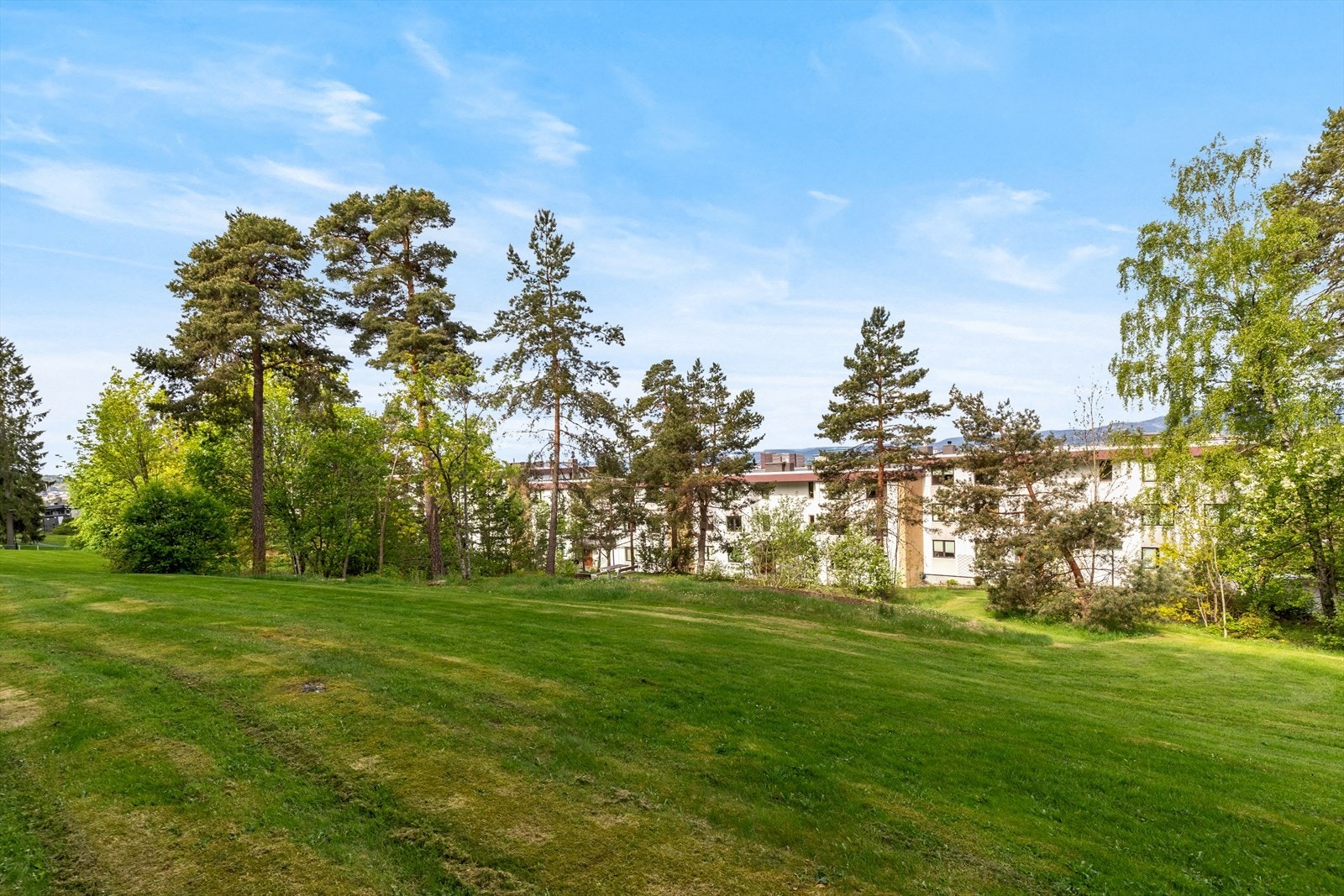 Nærområdet byr på flotte rekreasjonsmuligheter med kort vei til marka. Galleribilde