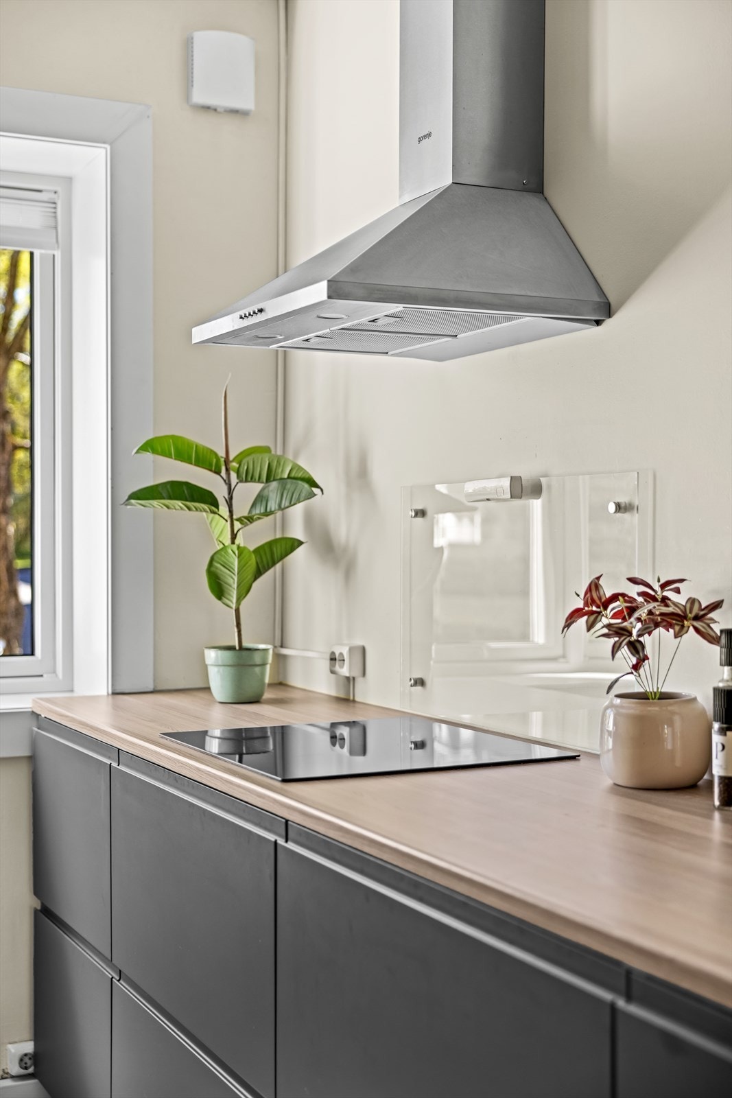 Kjøkkenet er utstyrt med induksjonstopp og ventilator i stål. Galleribilde