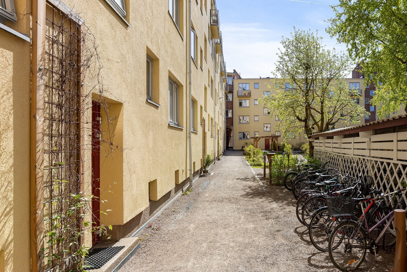 Bakgård Galleribilde