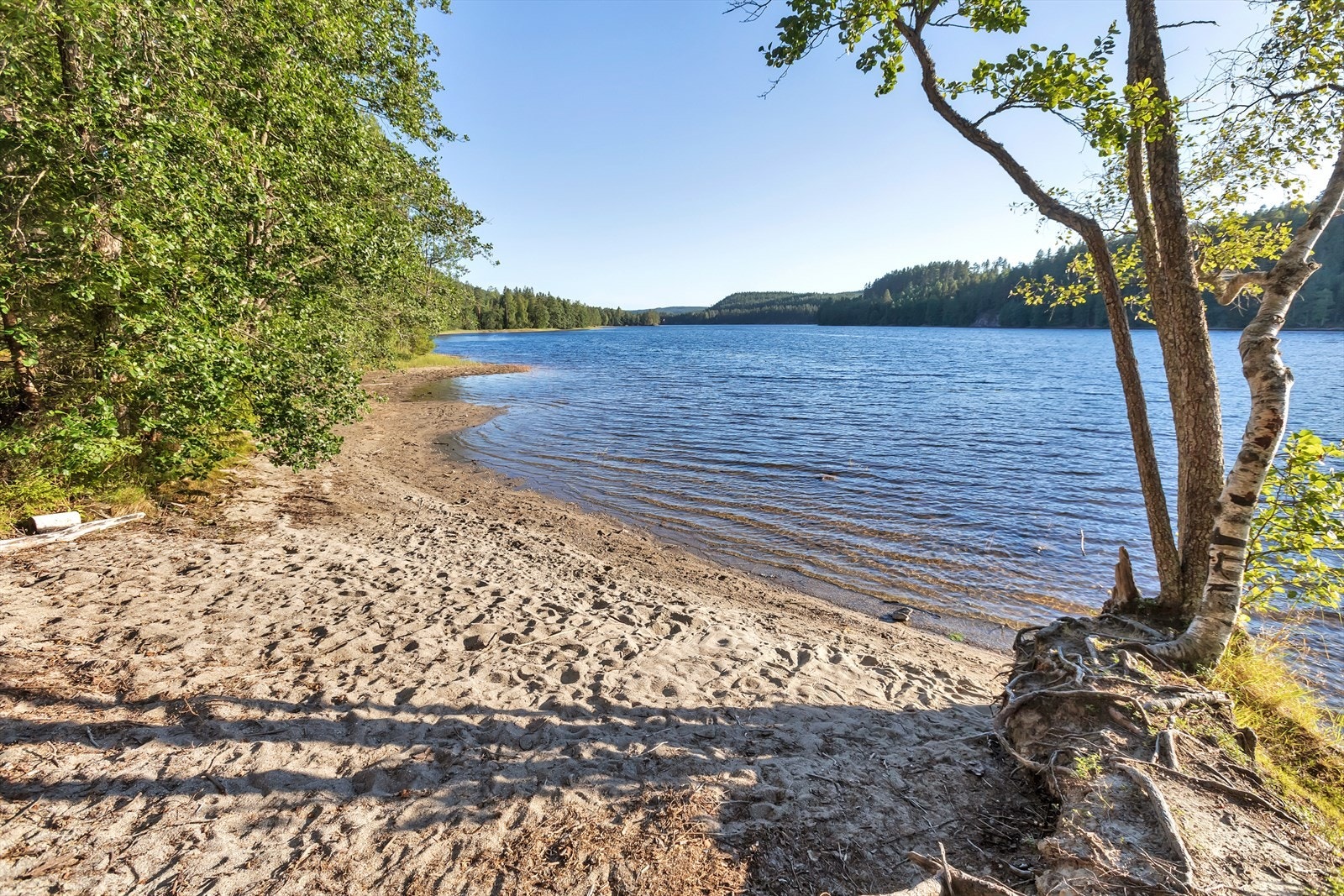 I omkringliggende områder er det flere små og større vann. Her kan du bade, padle, fiske eller bare sitte ved bredden og nyte roen vannet og omgivelsene gir. Galleribilde