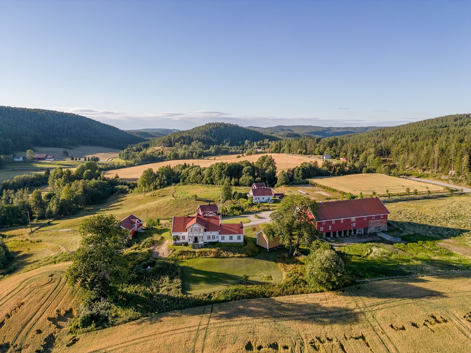 Skogen har meget god bonitet og står på det som tidligere var landsbruksjord. Det er mye vilt på eiendommen. Skogen har kort utkjøringsvei, og det er anslått at rundt 750 kbm skal kunne sluttavvirkes. Galleribilde