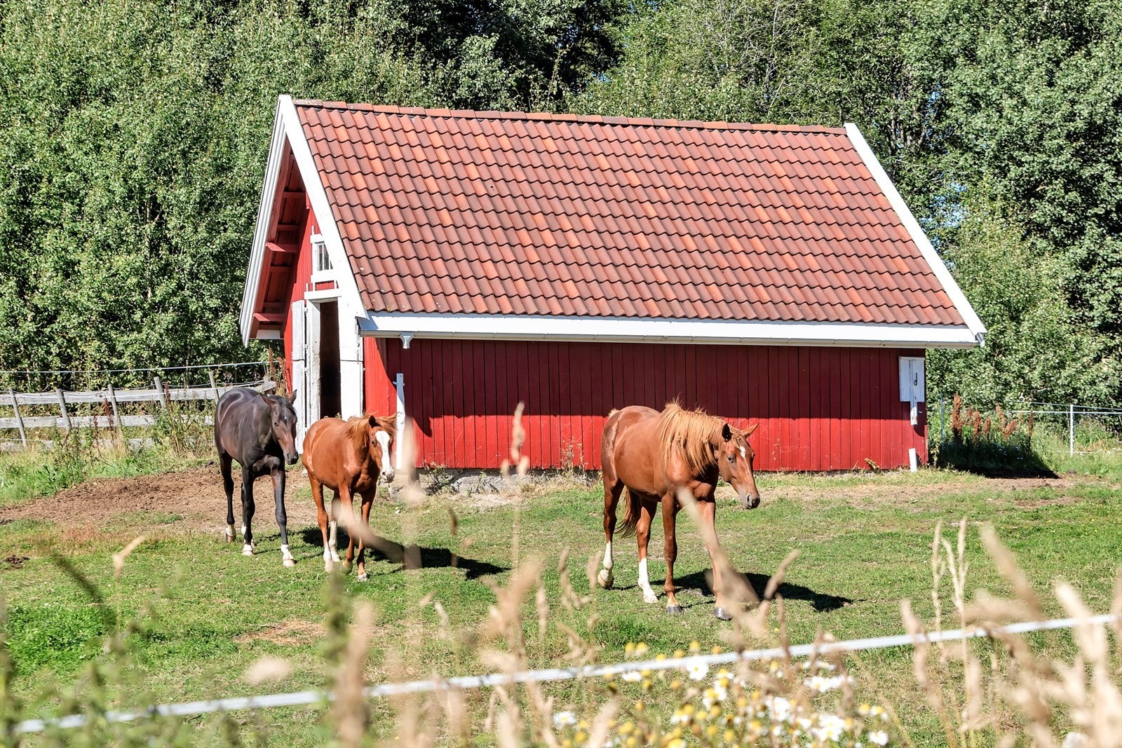 På eiendommen finner man også en eldre dobbelgarasje, en utegangstall og en enkel garasje bygget om til foringsrom. Deler av den dyrkede marken egner seg best til beite og dette arealet er også gjerdet inn, men det er ikke hestehold pr i dag. Galleribilde