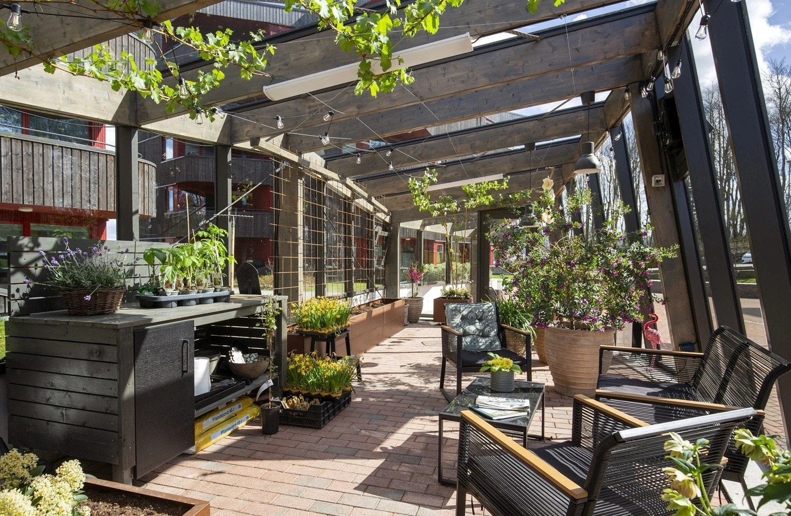 - Drivhuset er en ypperlig plass både for å nyte en kopp kaffe med naboer, samt å dyrke både planter og mat - Galleribilde