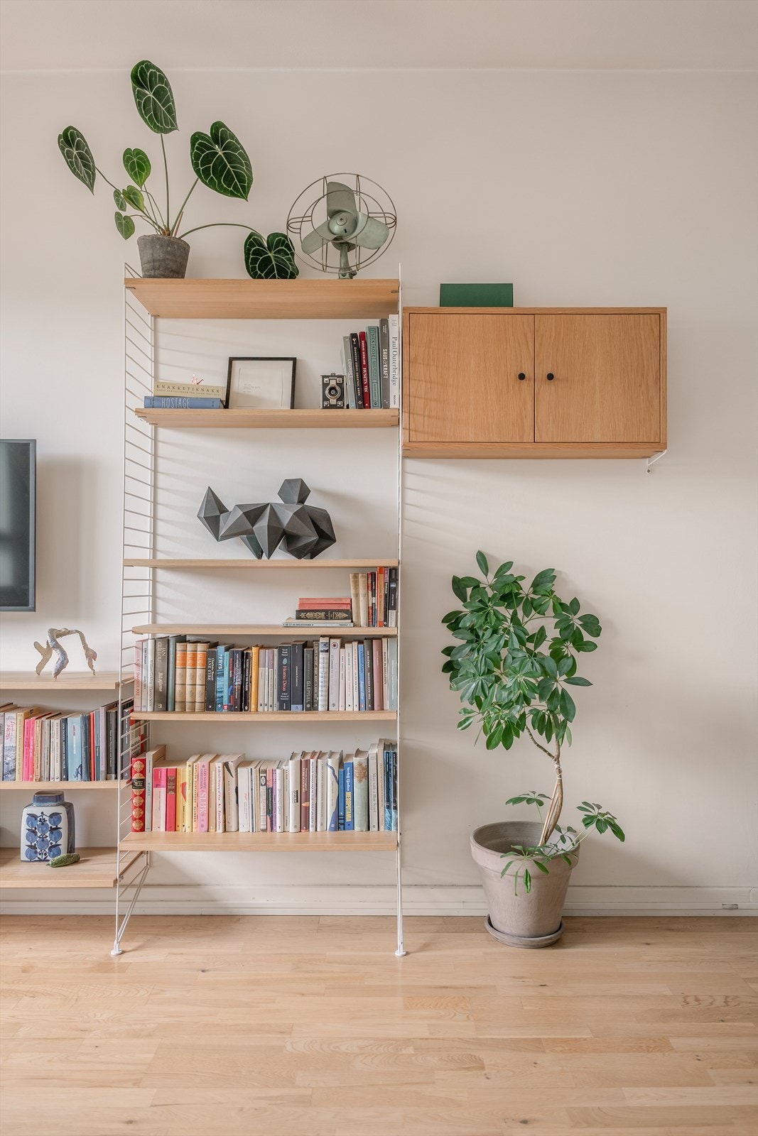 Her er det mulighet for å innrede etter smak og behag, uten å sette romfølelsen på spill! Galleribilde