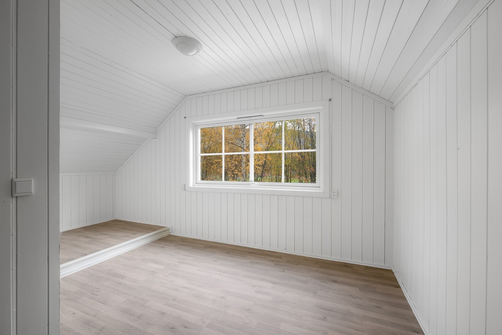 9440491_25_uten navn.jpg-medium Galleribilde