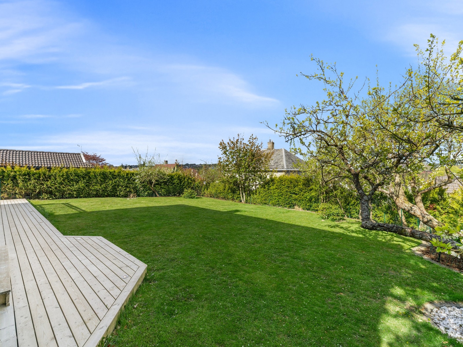 En romslig hage med plen og flott beplantning. Galleribilde