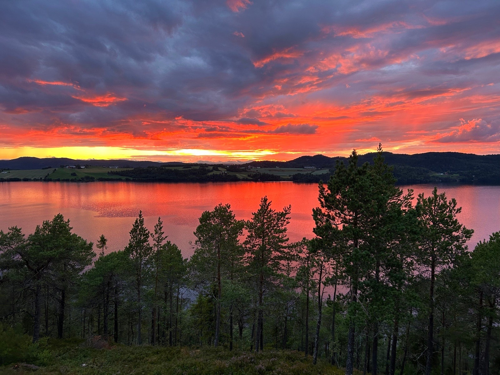 Privat bilde fra selger. Galleribilde