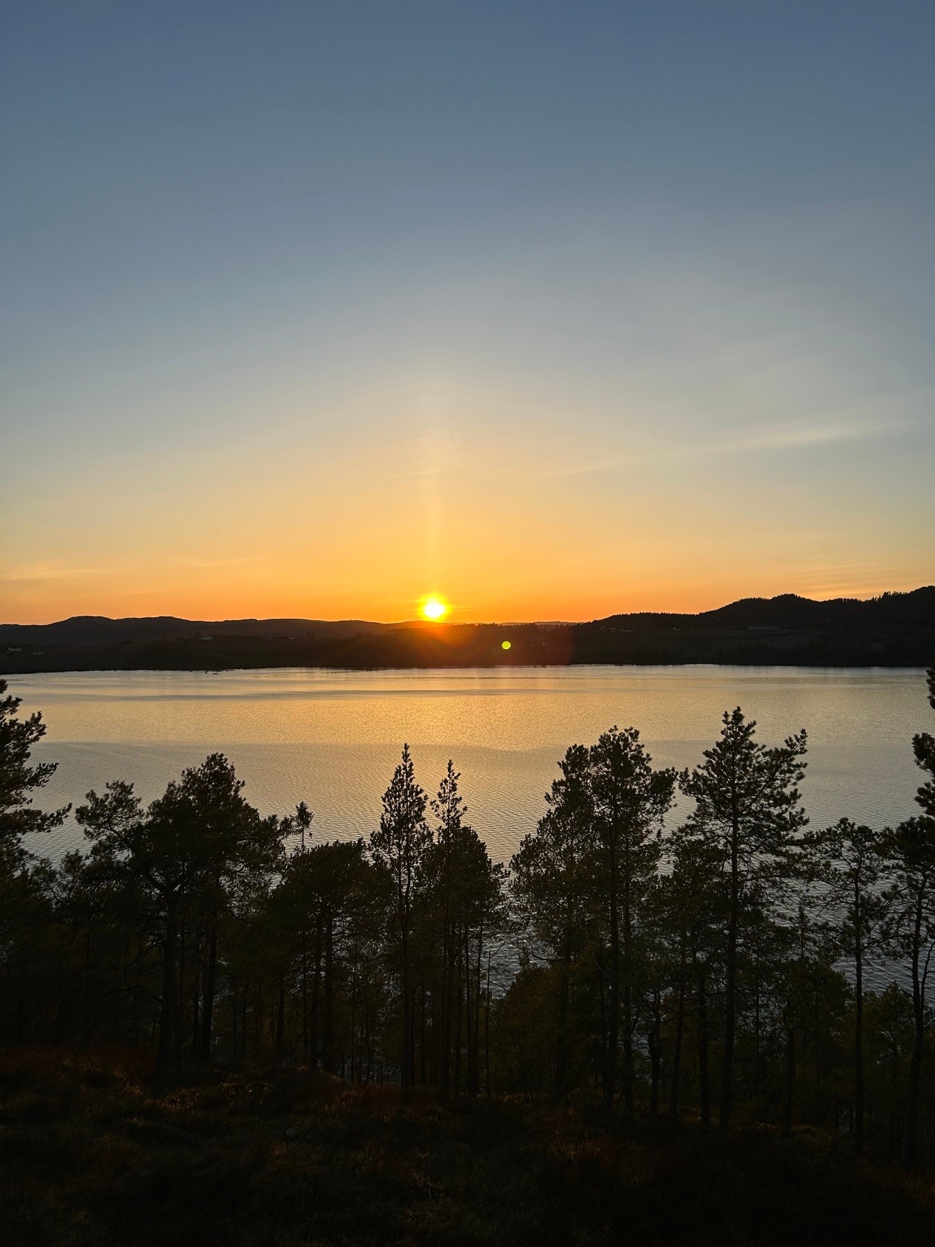 Privat bilde fra selger Galleribilde