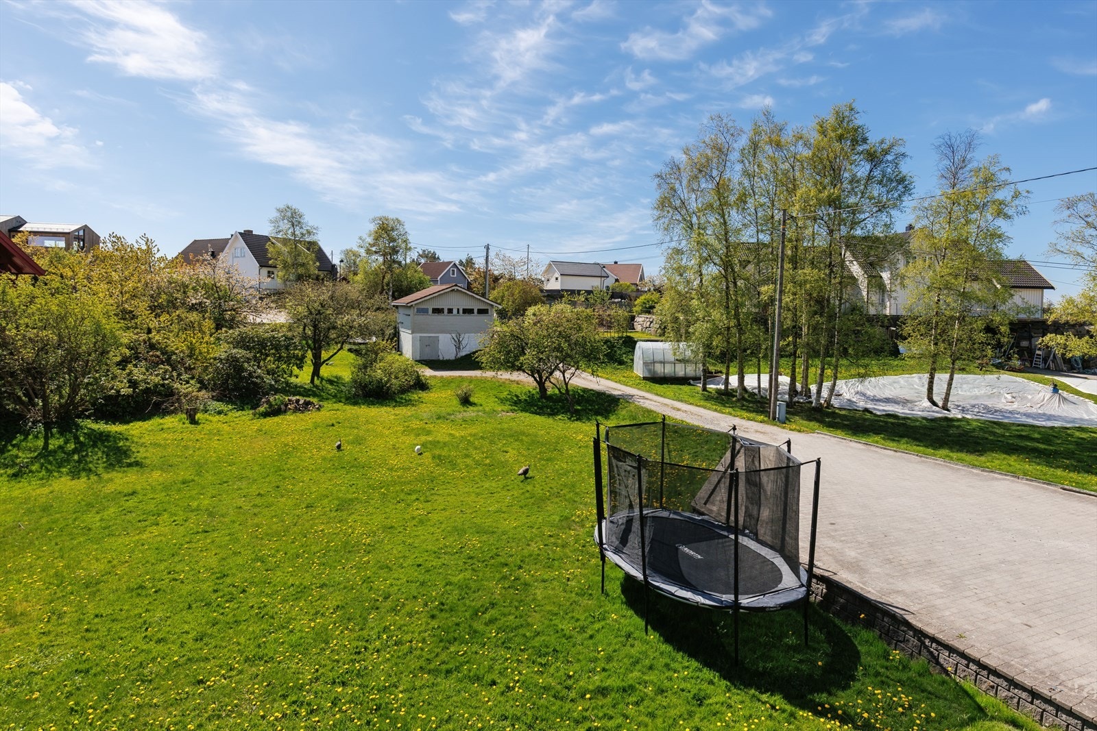 Stor flott hage med frukttrær og god plass til trampoline og lek. Galleribilde