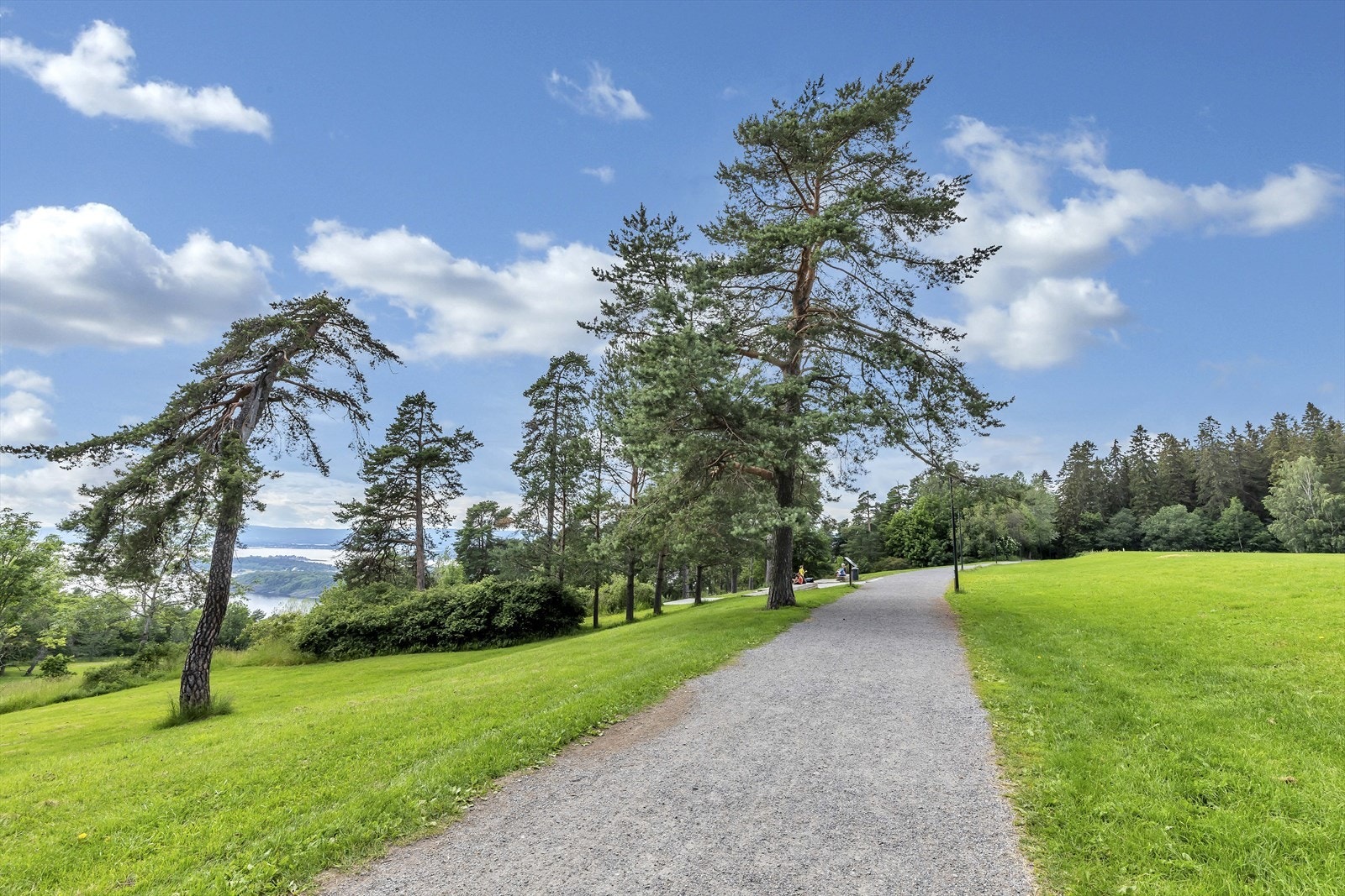 Kort gange til Ekebergparken Galleribilde
