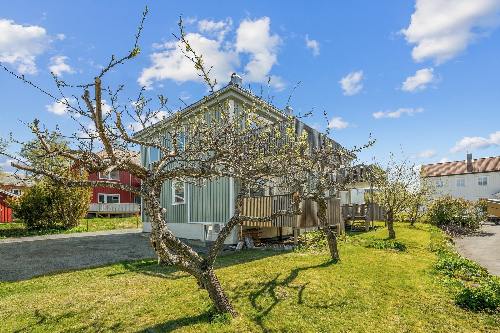 Felles solplatting og velstelt hage. Galleribilde