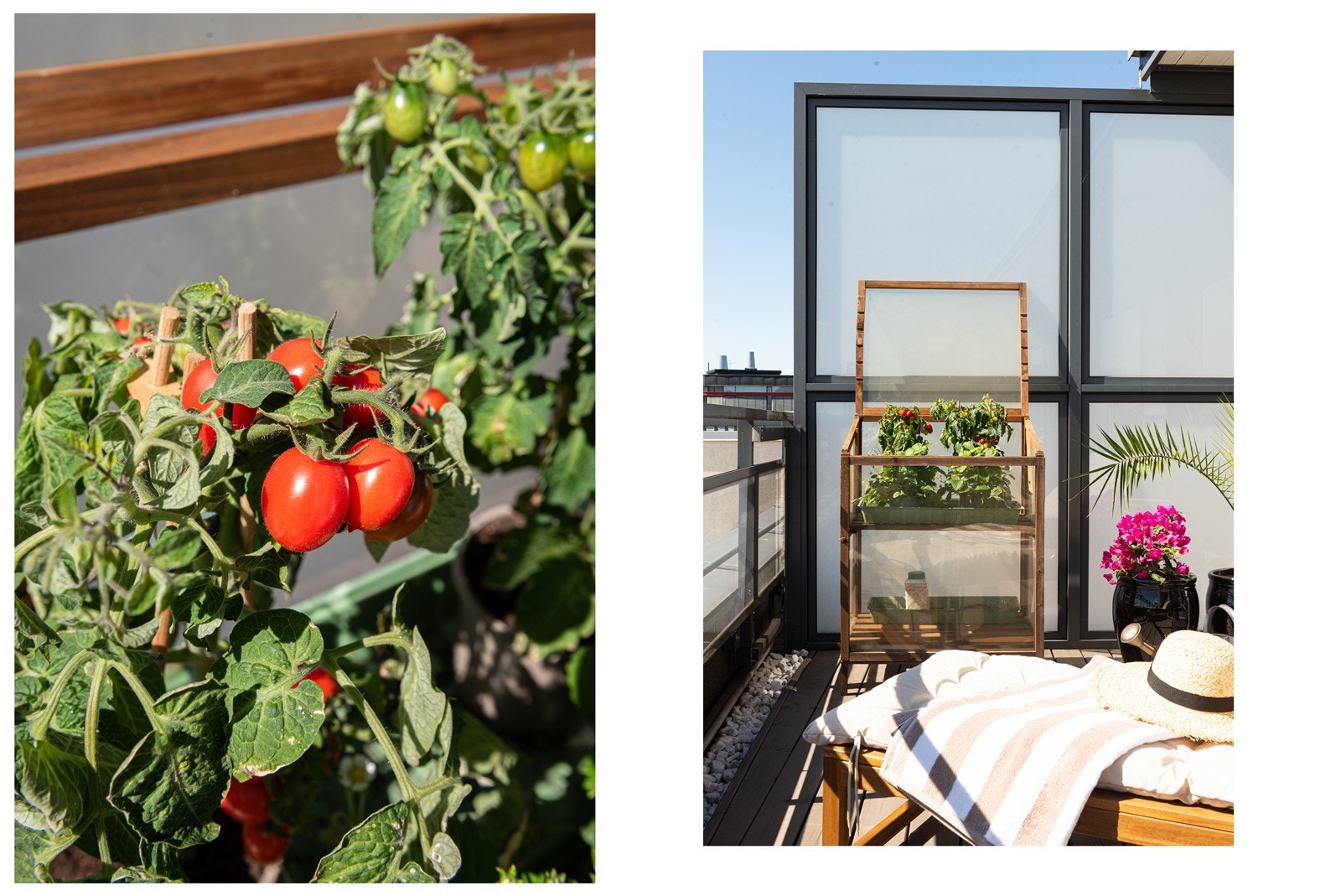 Takterrassen gir gode muligheter for urban dyrking. Galleribilde