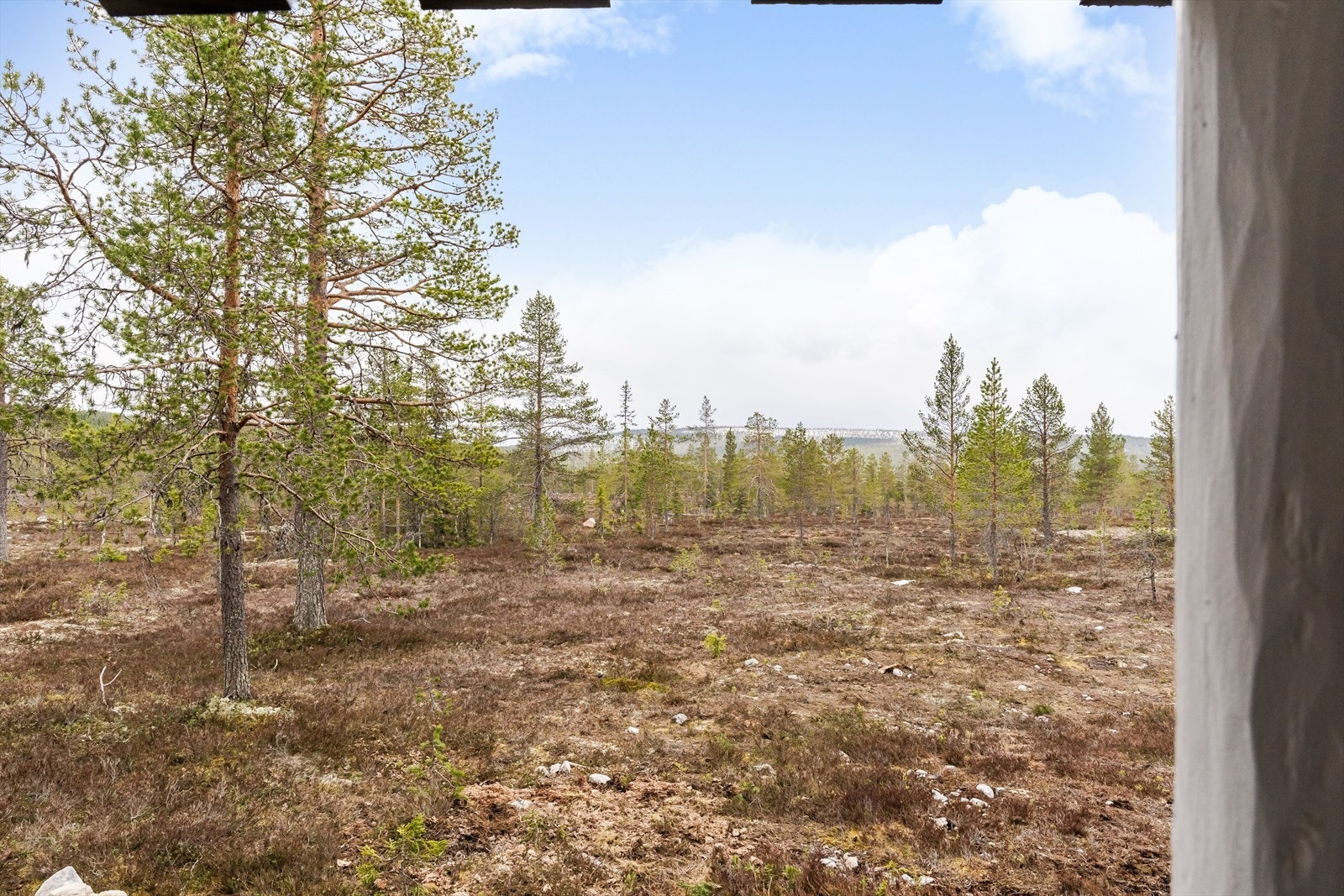 Eiendommen har en lett hellende naturtomt med noe utsikt. Her kan man gå rett fra hytteveggen og ut i skogen/langrennsløypene. Galleribilde