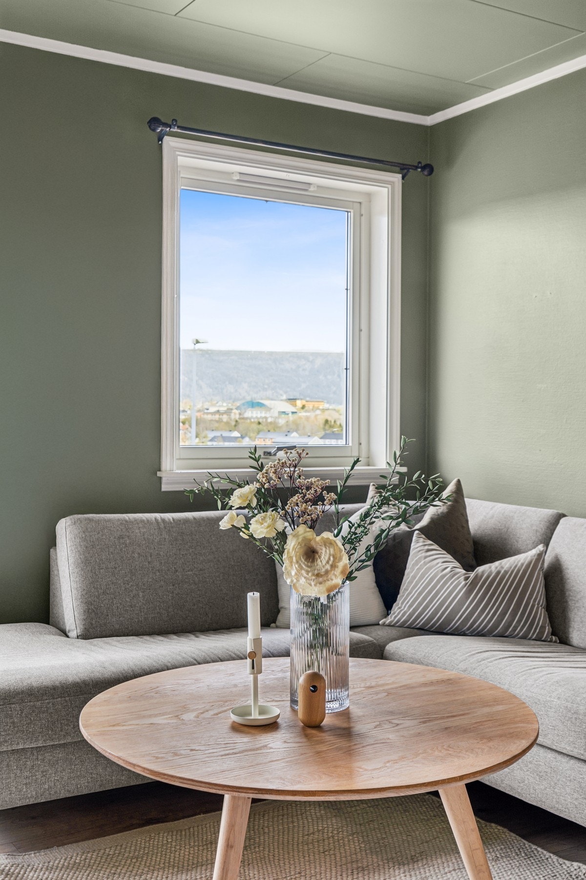 Fra stuen har du utsyn over nærområdet og Mo i Rana. Galleribilde