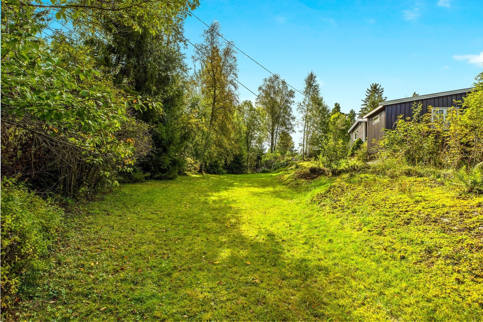 Store, åpne gressplener gir mange muligheter for hageentusiasten. Galleribilde