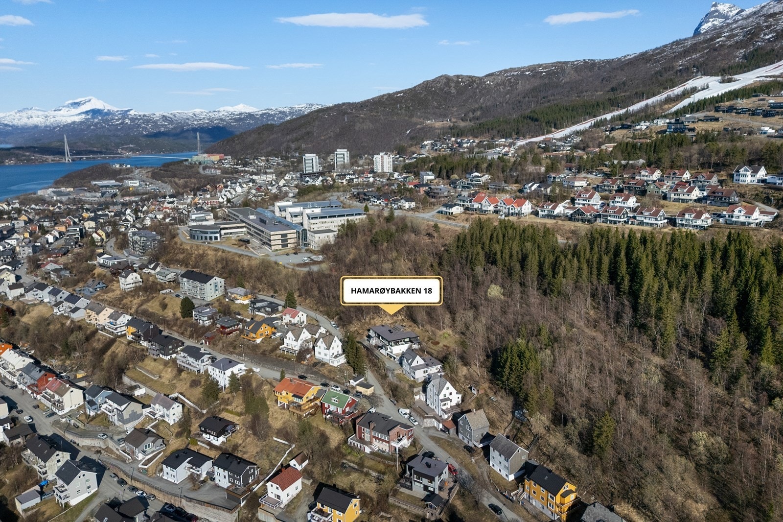 Ta kontakt med megler for å avtale visning! Galleribilde