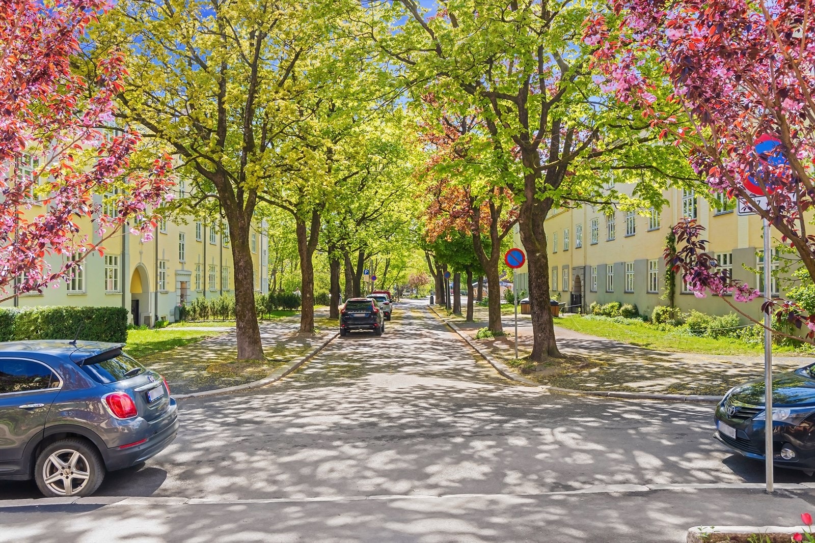 Vakre omgivelser sentralt på Torshov. Galleribilde