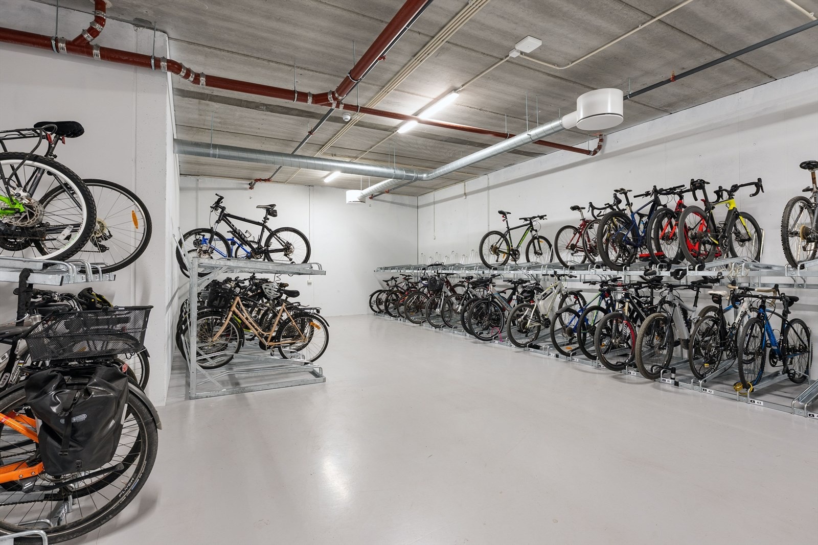 Sykkelbod. Galleribilde
