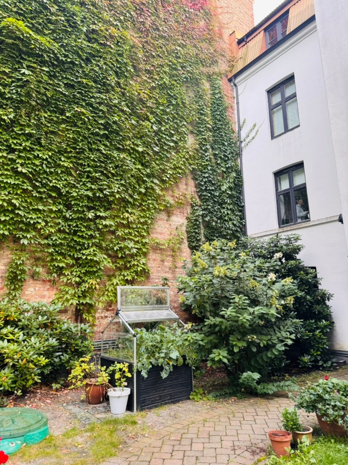 Bakgård. Galleribilde