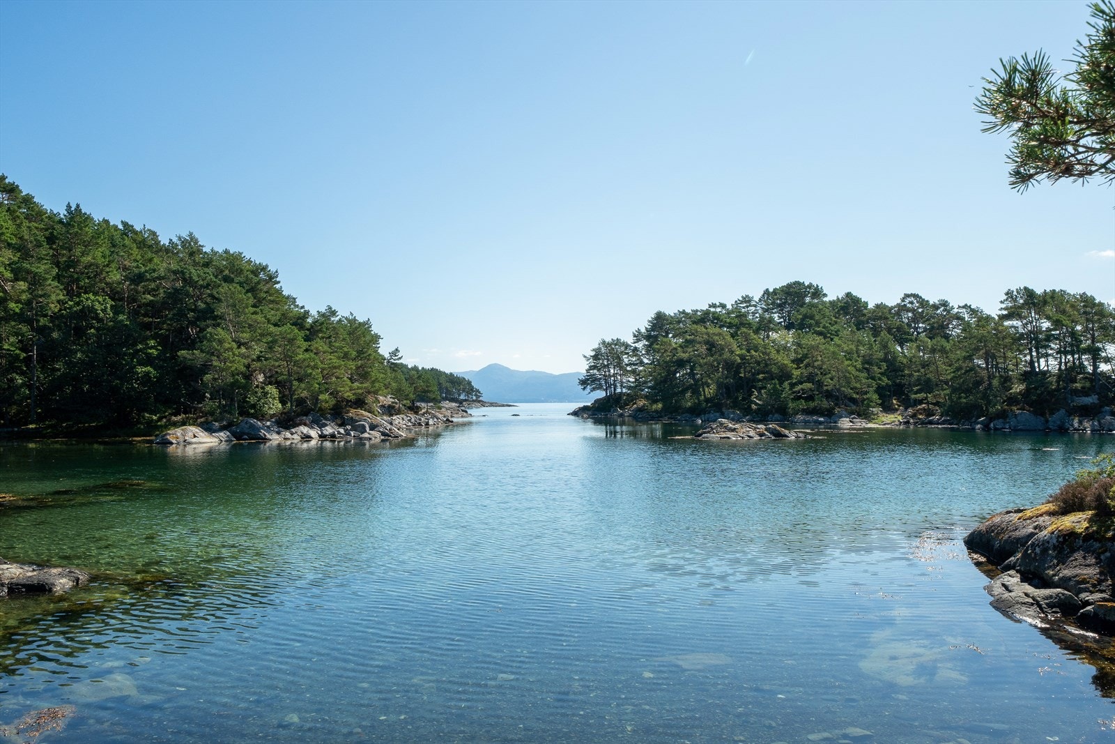 En av mange laguner inne i selve Kobbevågen. Galleribilde