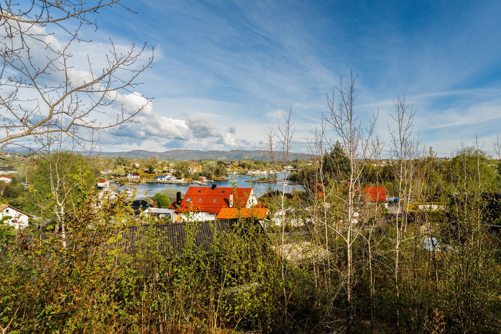 Utsikt fra tomten Galleribilde