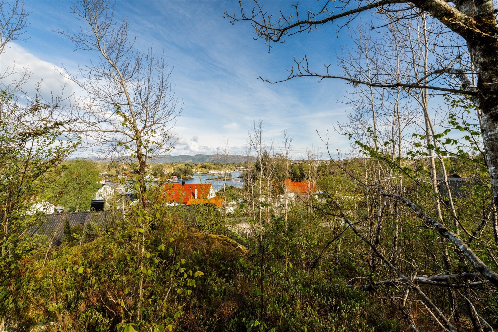 Utsikt Galleribilde