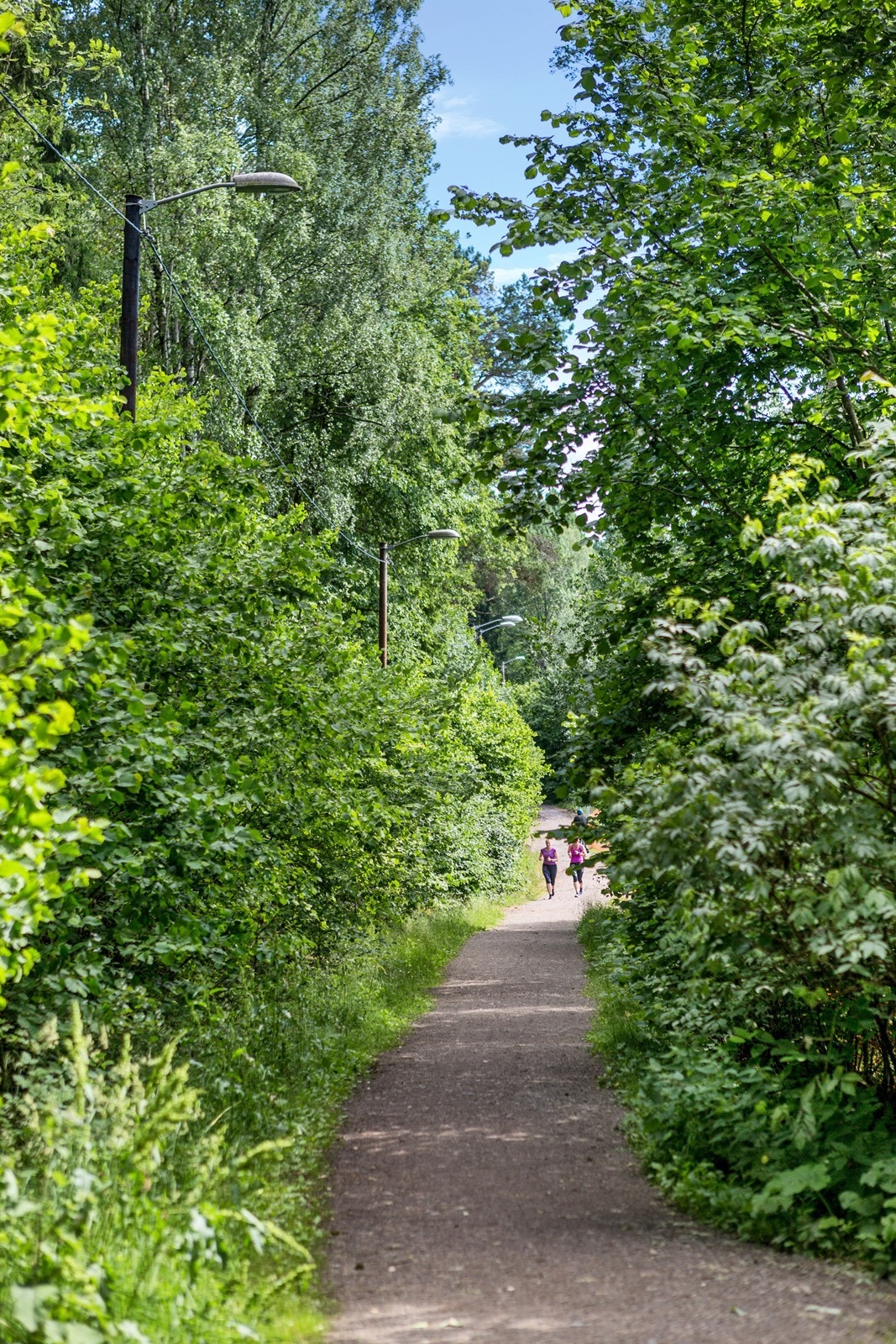 Flotte tur- og rekreasjonsområder i nærheten, med nærhet til skog og mark. Galleribilde
