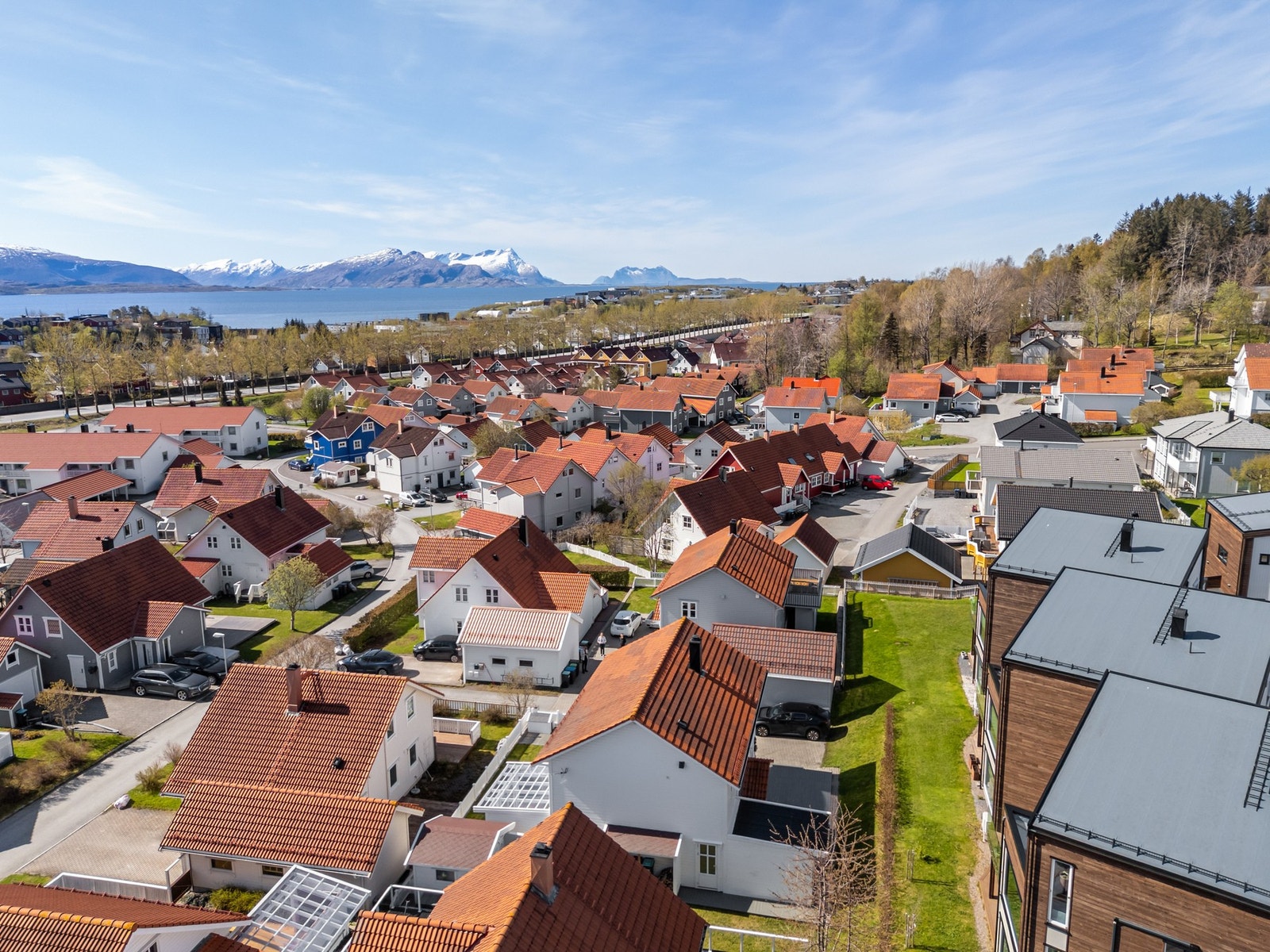 Velkommen til visning! Galleribilde