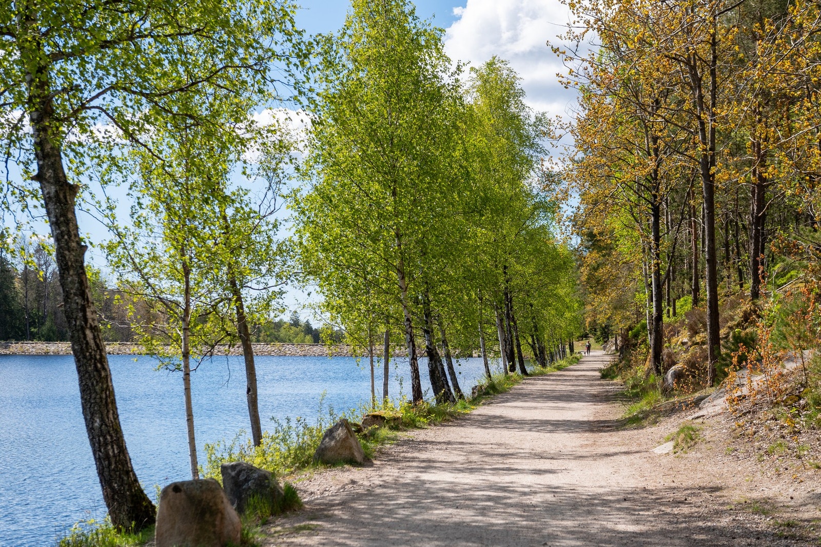 Oredalsåsen er kjent for sin umiddelbare nærhet til Fredrikstad-marka med dammene som kan bades i ved sommerhalvåret, flotte turstier og uendelige skogsterreng. Galleribilde