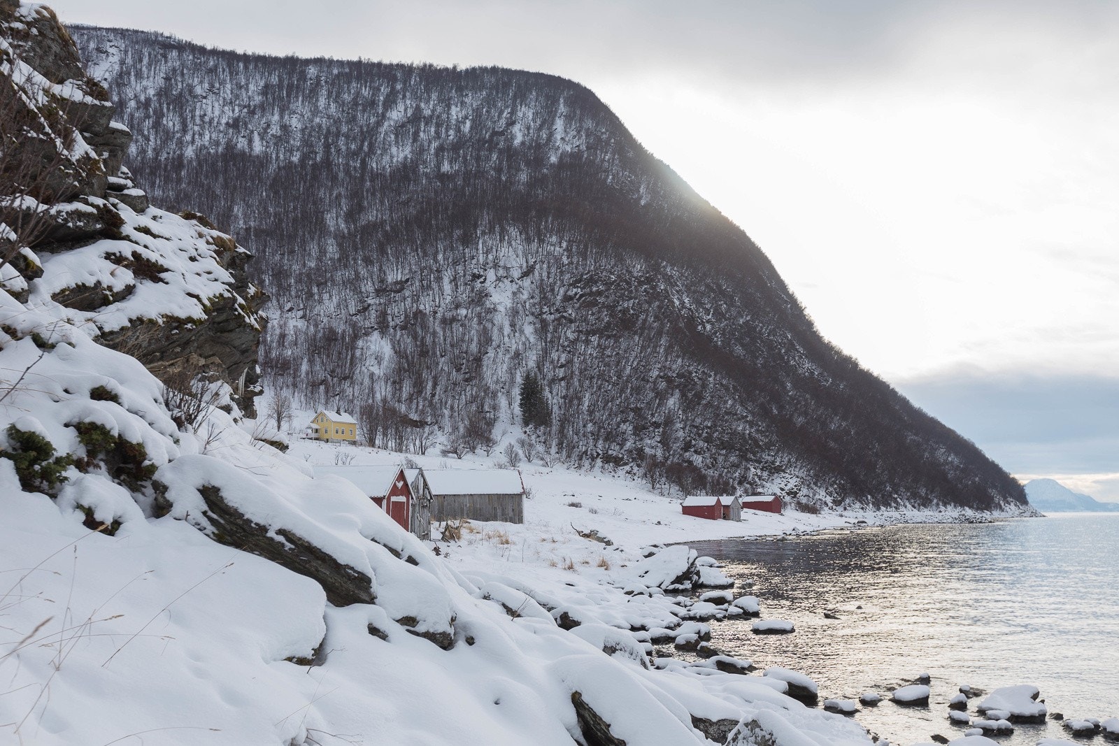 Arkivbilde vinter Galleribilde