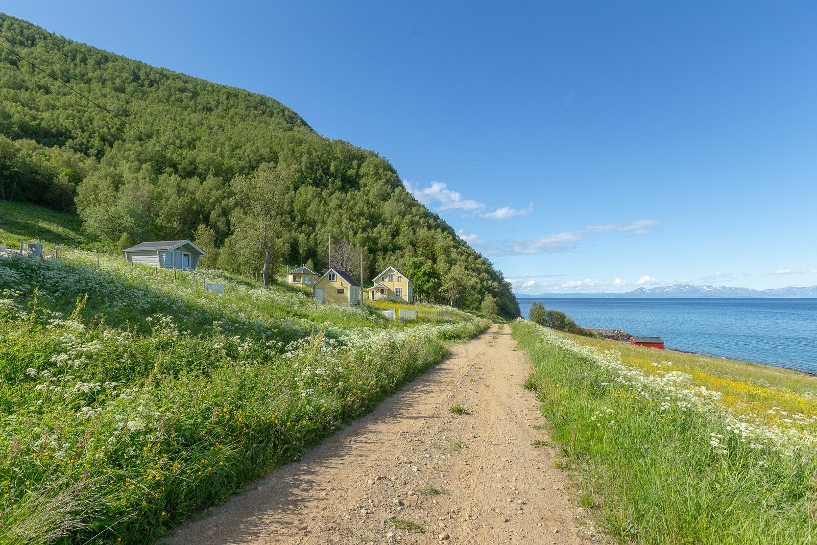Siste huset på veien, her kan du finne ro og sjelefred i fantastiske omgivelser Galleribilde