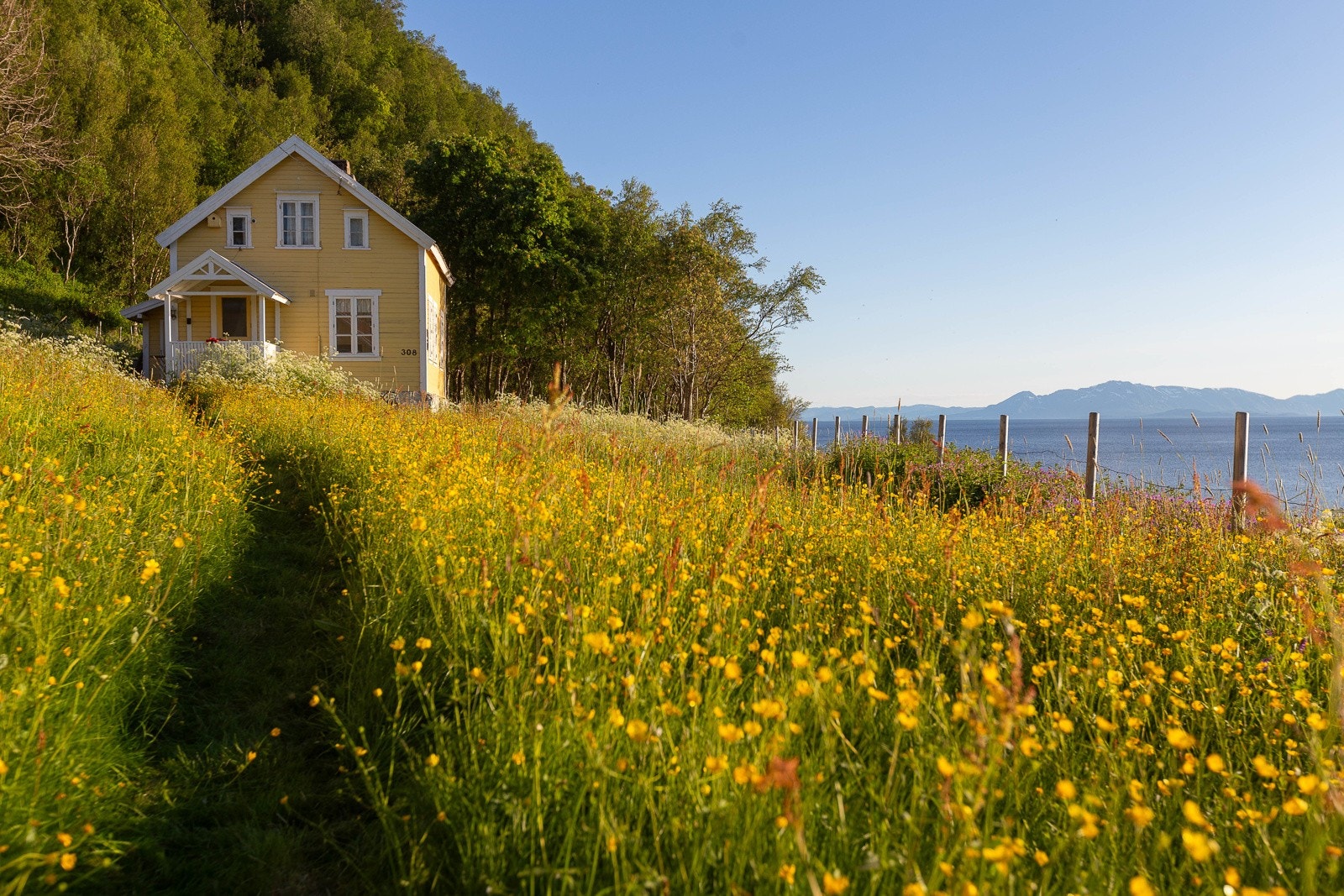 Sommerlig idyll på sitt beste Galleribilde