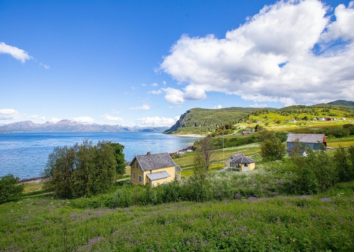 Velkommen til Vinjeveien 308! Galleribilde