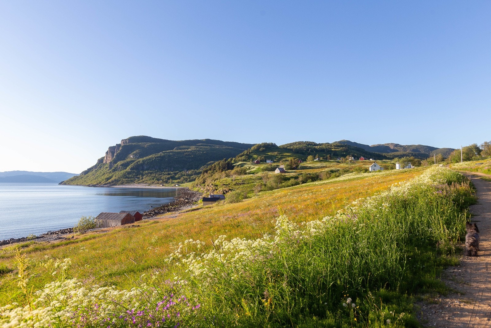 Under fjellet "Kjærringkollen" i bakgrunnen går skogsveien til bygda "Berg". Nydelig tur! Galleribilde