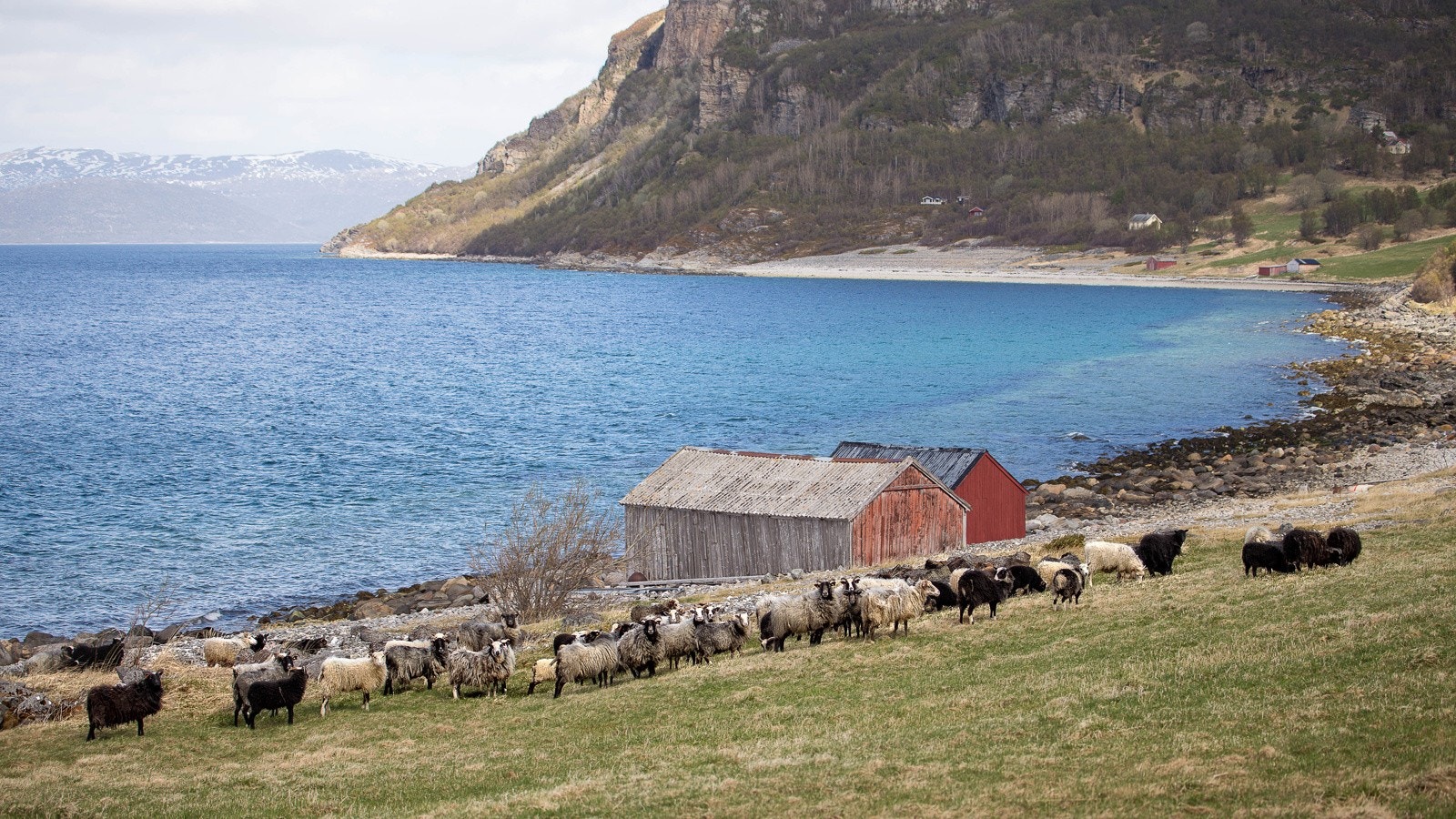 Arkivbilde høst Galleribilde