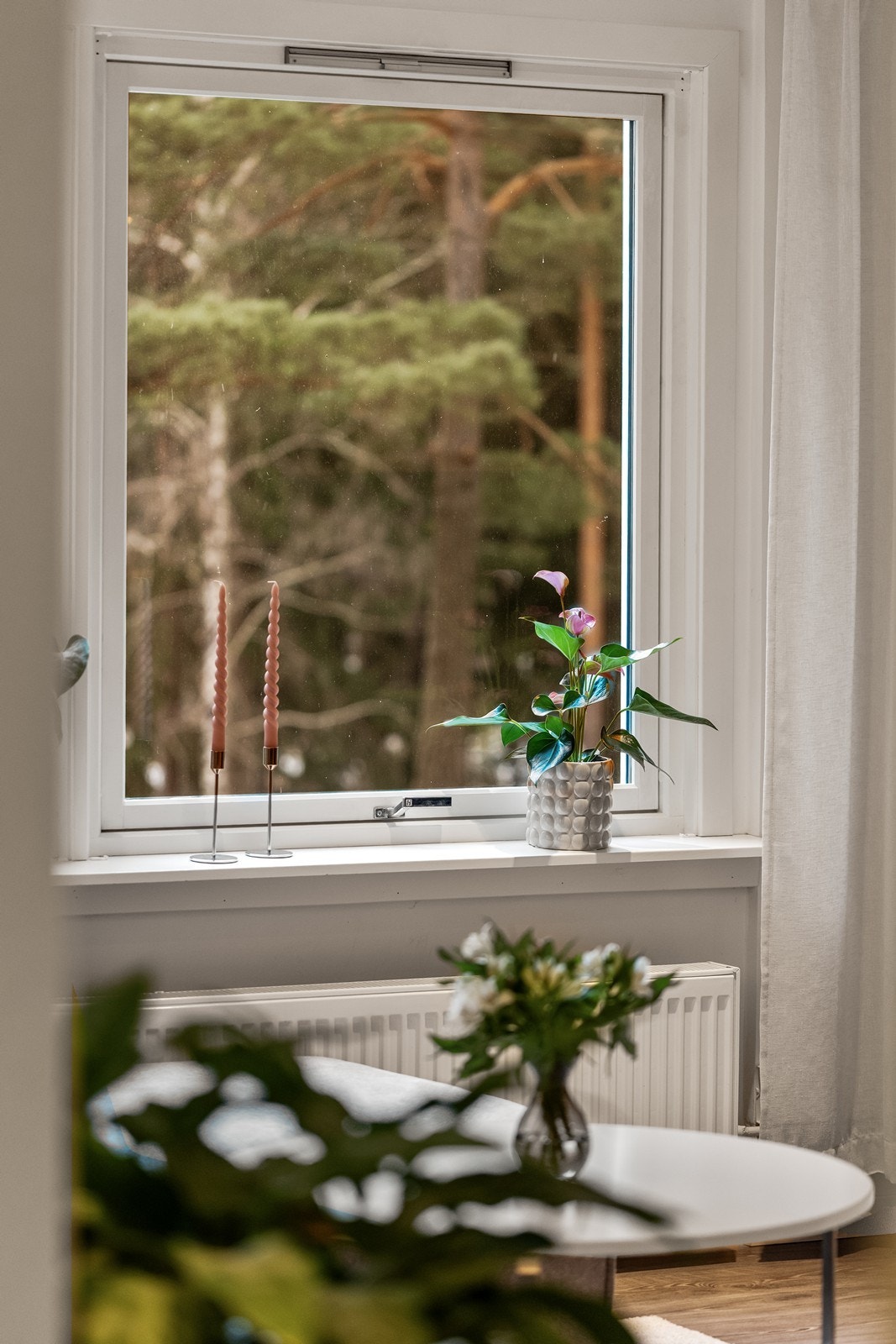 Vinduene rammer inn de grønne omgivelsene utenfor. Galleribilde