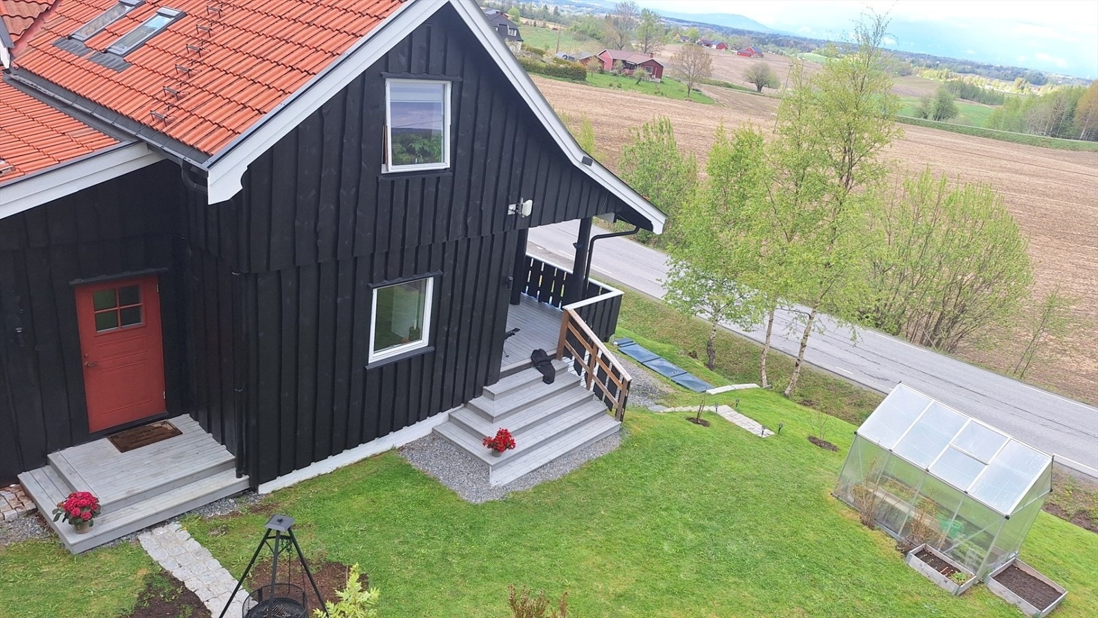 Fin plen (selgers bilde) Galleribilde