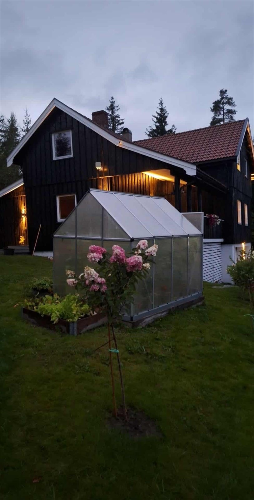 Drivhus (selgers bilde) Galleribilde