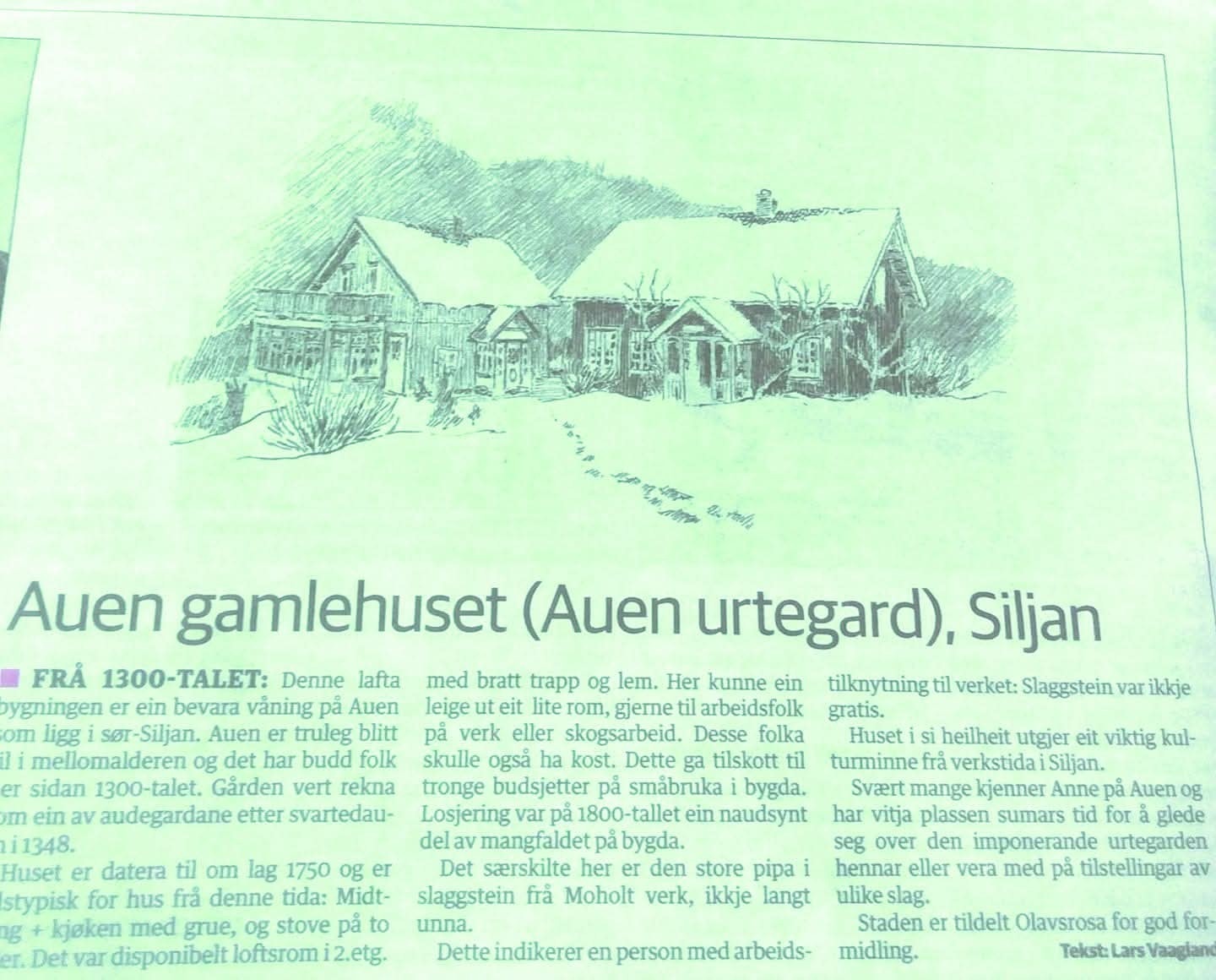 Litt historie.... Galleribilde