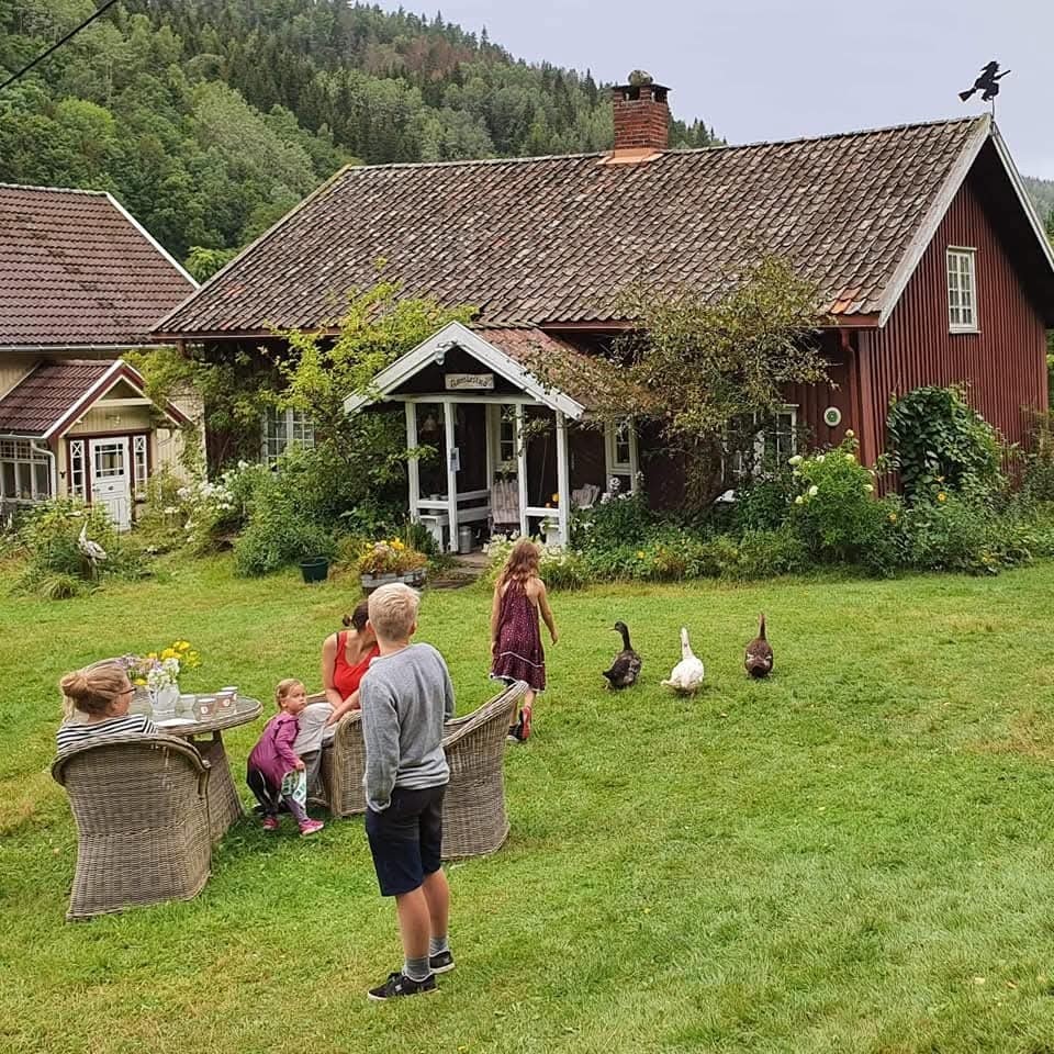 Gøy for store og små - også fjærkledde store og små. Galleribilde