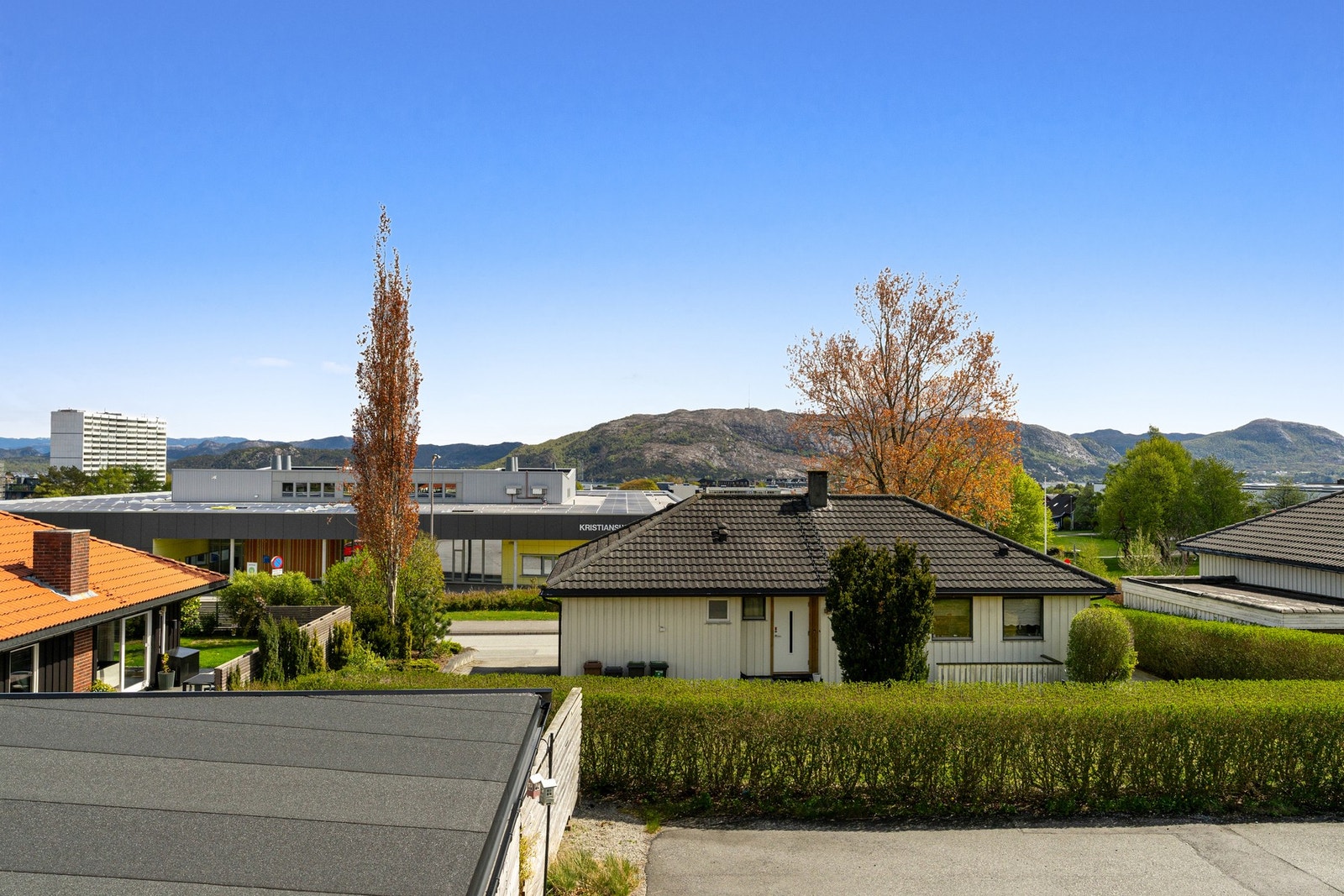 Utsikt mot Lifjell Galleribilde