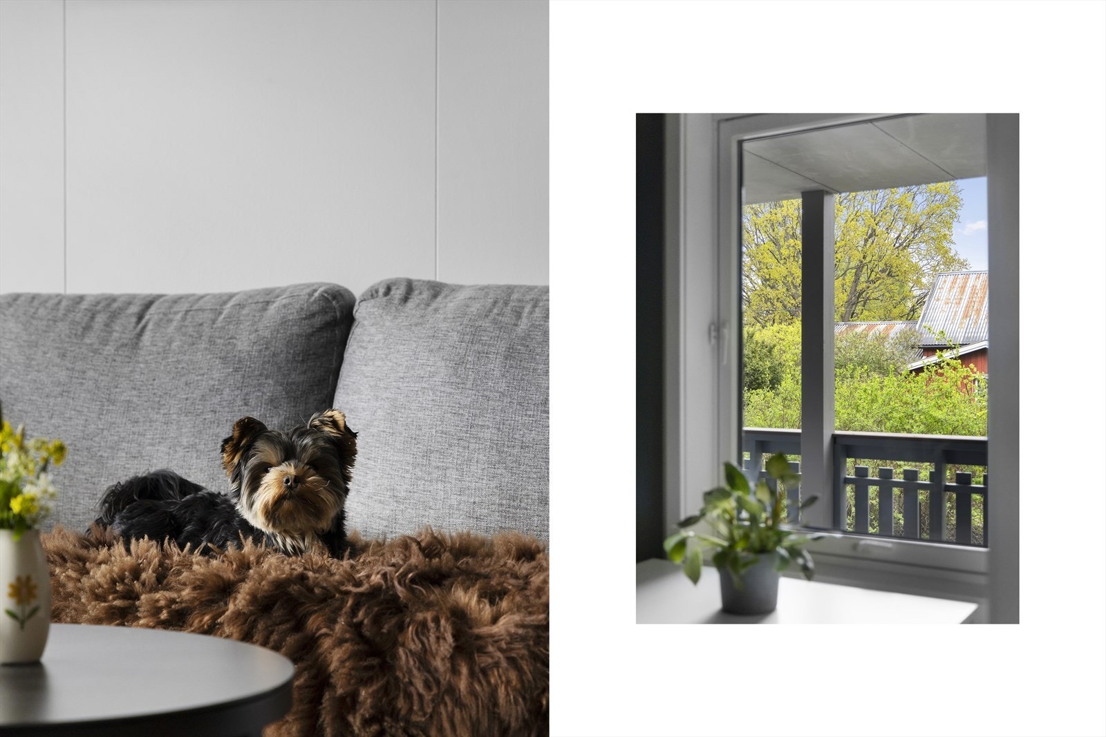 Dyrevennlig borettslag og område med kort vei for de firbeinte til natur og turområder! Galleribilde