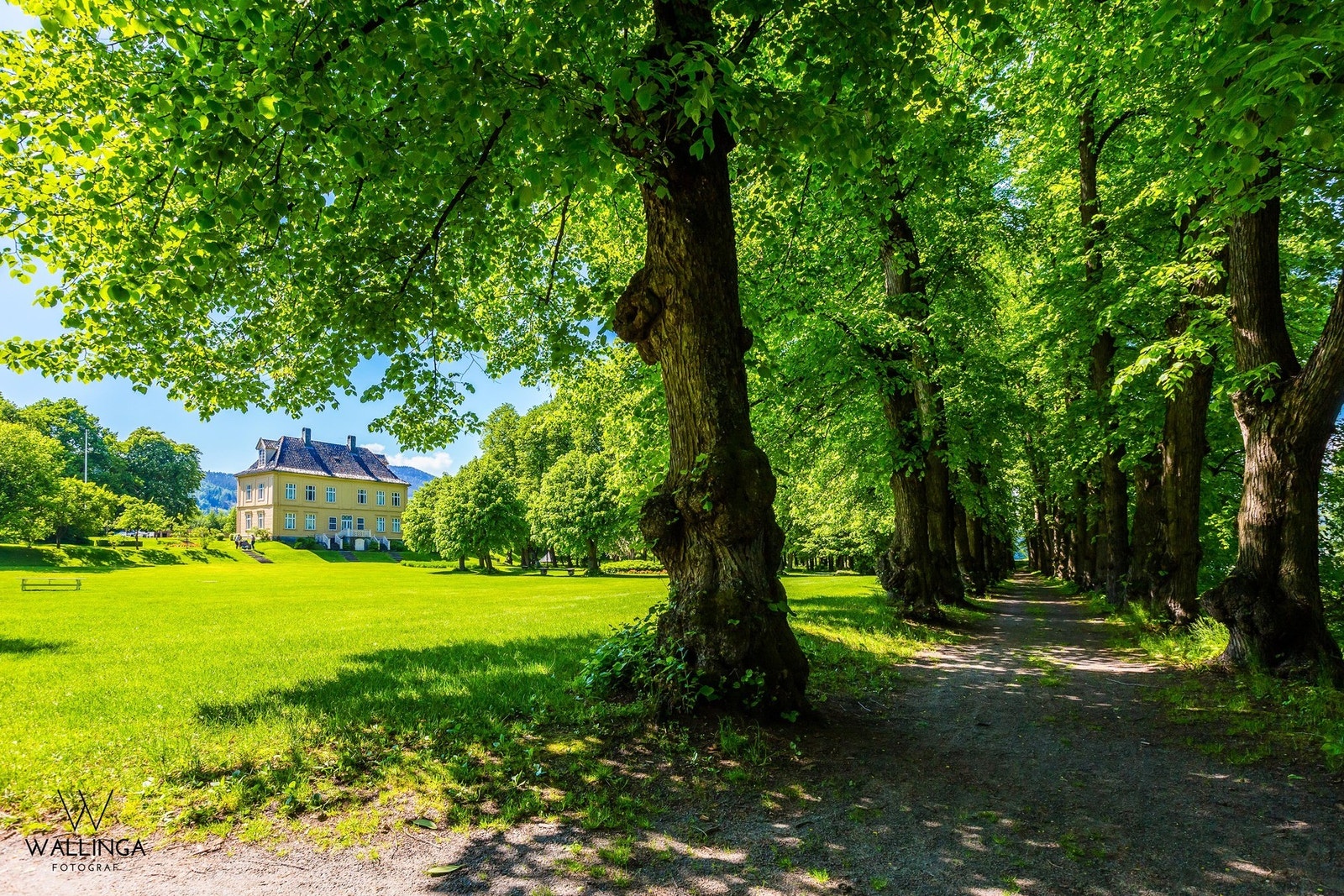 Fine turområder med flotte omgivelser Galleribilde