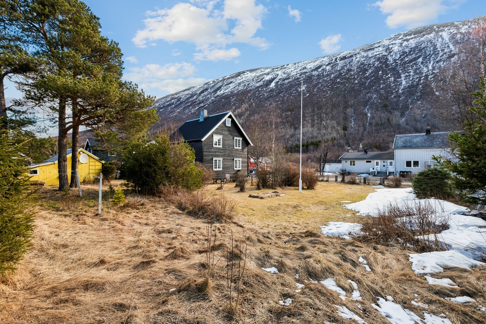 Se naturen Galleribilde