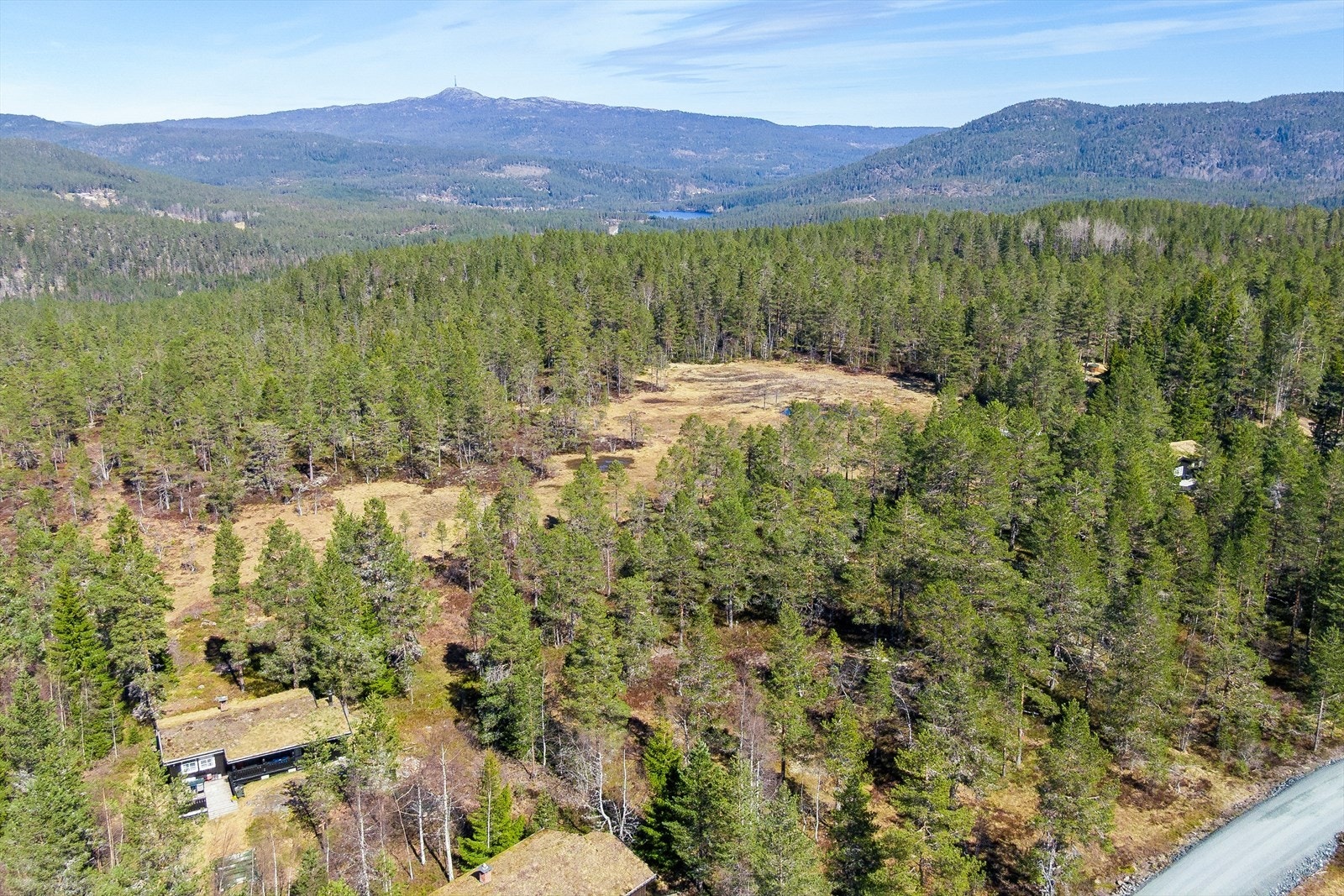 Oversikt over hyttefeltet og de omkringliggende skogs- og fjellområdene. Galleribilde