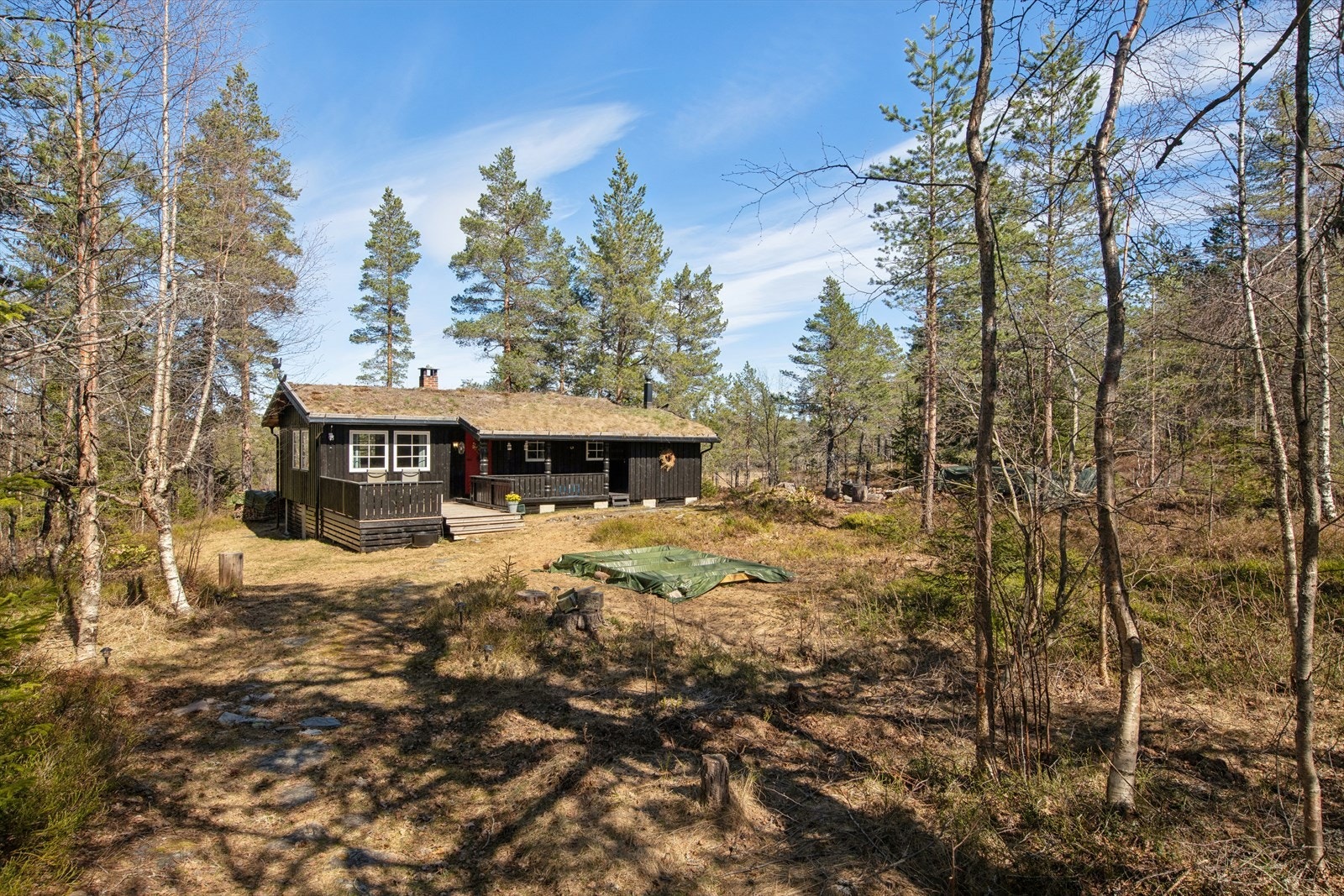 Stor eiertomt som består av naturtomt med spredt vegetasjon. Hytta har en usjenert beliggenhet. Galleribilde