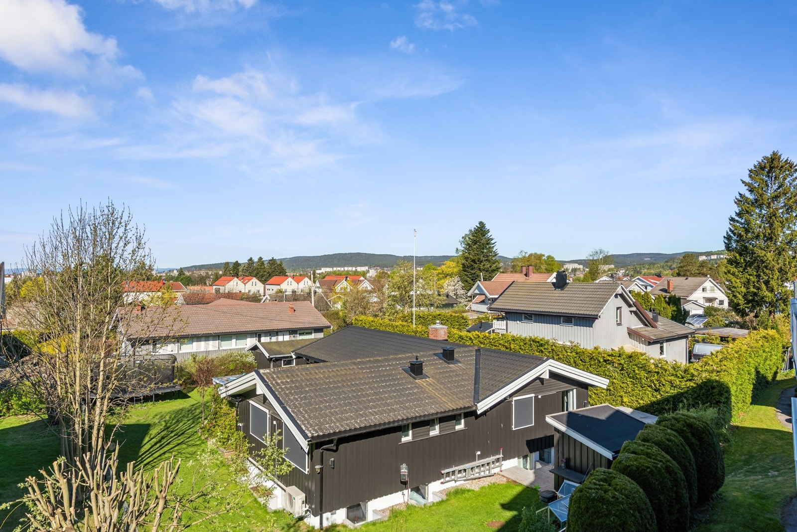 Utsikt. Galleribilde