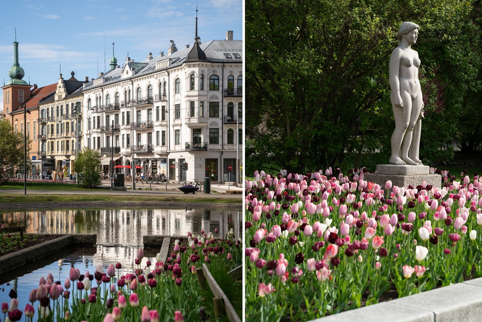 Wessels gate har en svært sentral, men likevel rolig beliggenhet på Meyerløkka/ St. Hanshaugen, rett ved Pilestredet park - Idylliske St. Hanshaugparken ligger i umiddelbar nærhet Galleribilde