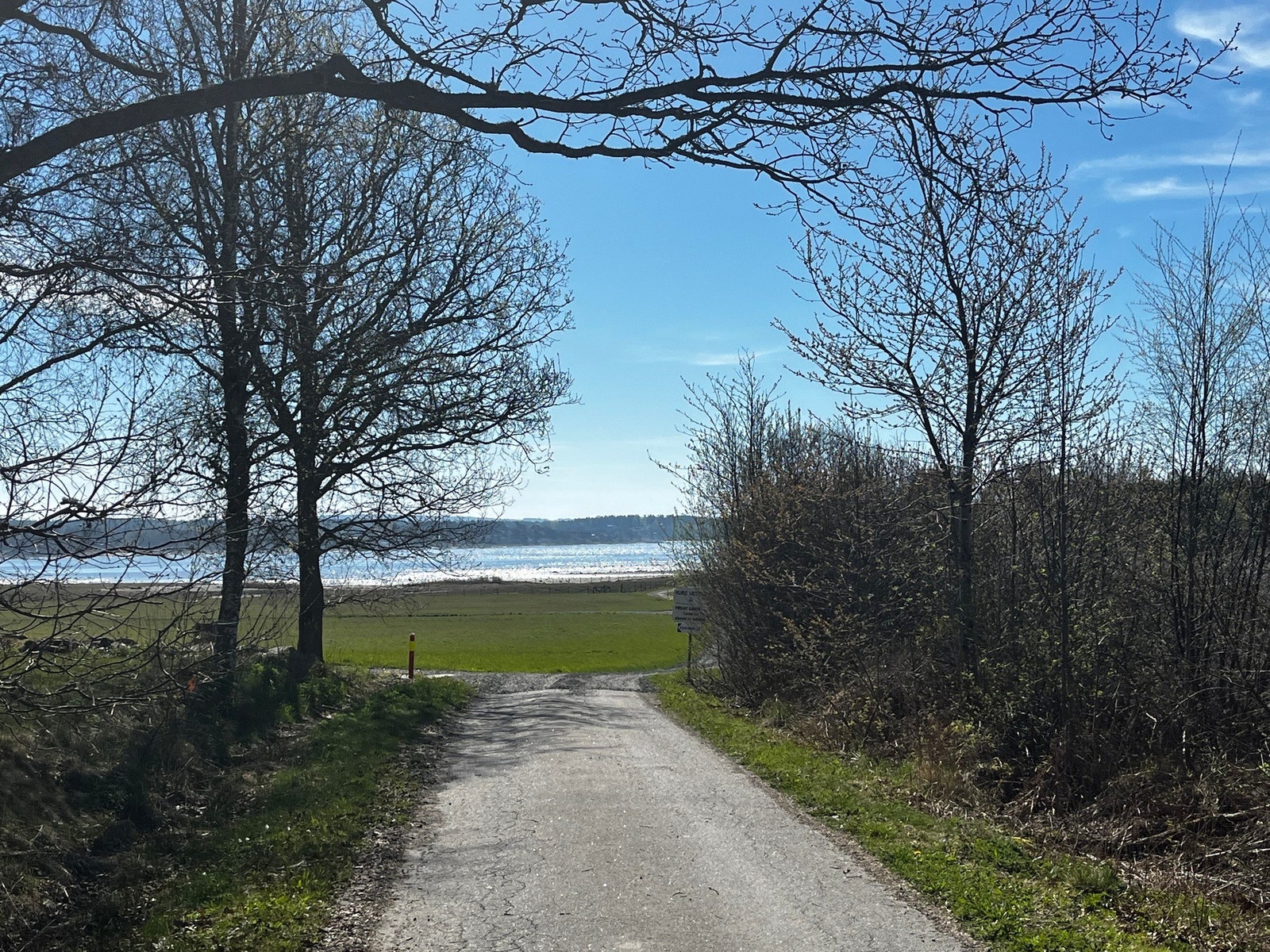 Selgers private bilde Galleribilde