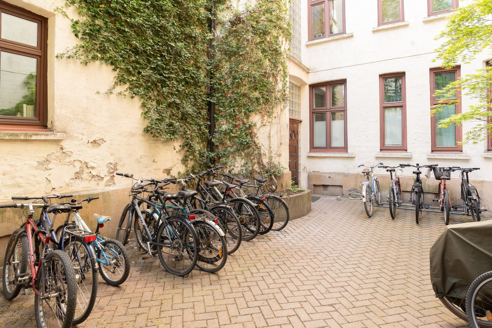 Felles sykkeloppstilling. Galleribilde